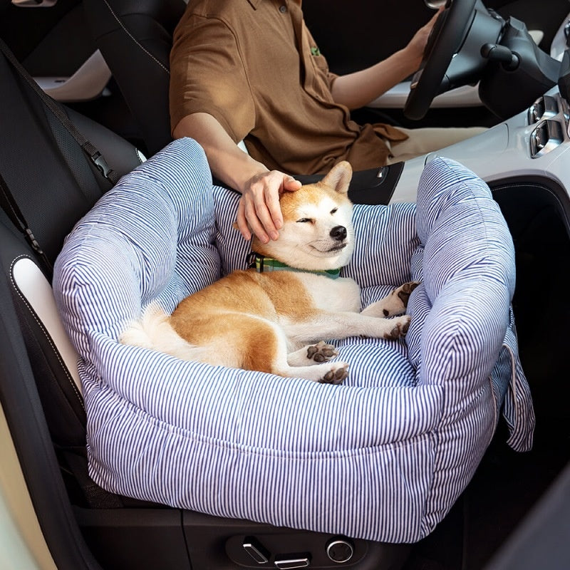 Beach Day Travel Booster Car Seat