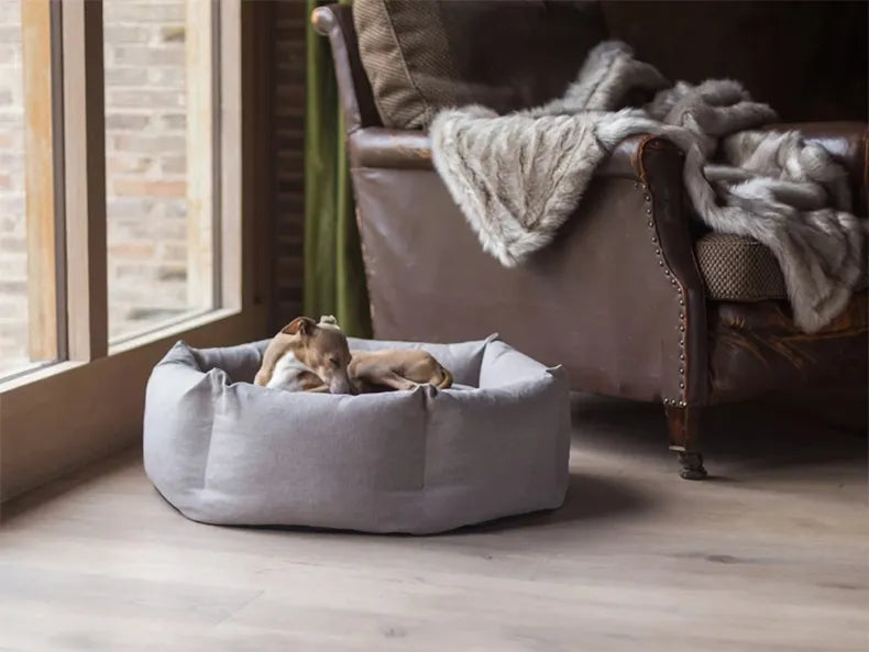 Beach Breeze Orthopedic Dog Bed