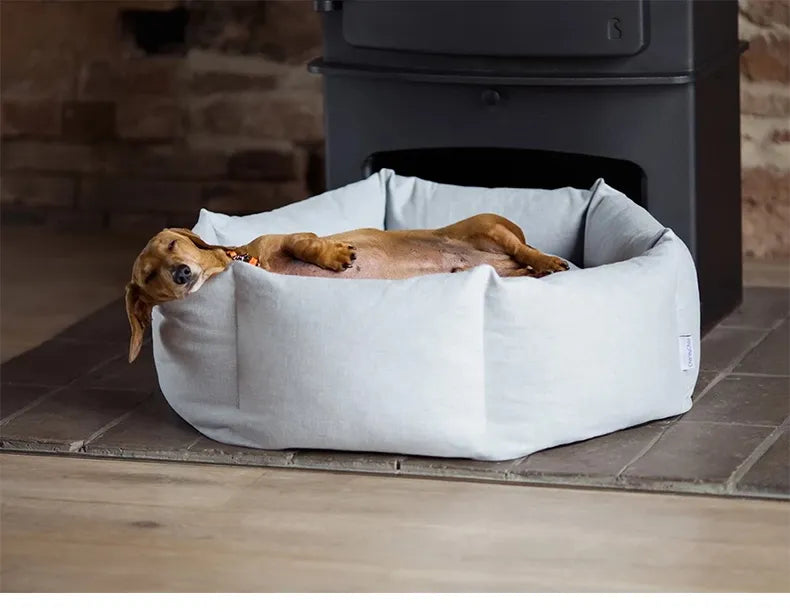 Beach Breeze Orthopedic Dog Bed