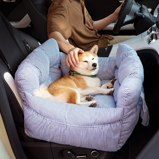 Beach Day Travel Booster Car Seat