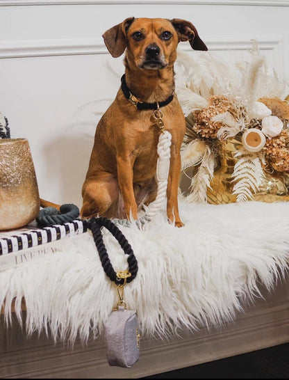 Rigging Rope Collar & Leash Set - Sunbeam