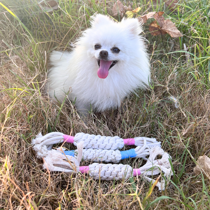 Rainbow Candy Macrame Rope Pet Toy-2