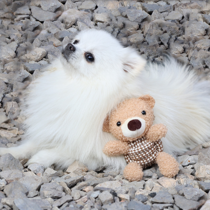 Squeaky Rope Buddies-2