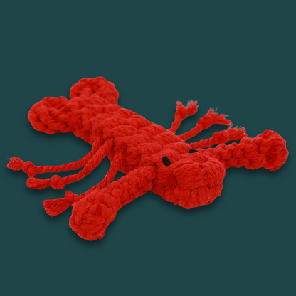 Rose the Lobster Pet Rope Toys-1