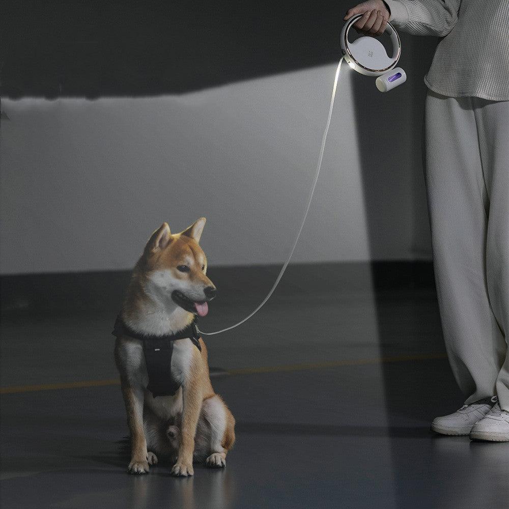 In Vogue Retractable LED Leash