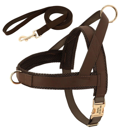 Coastal Harness + Leash Set