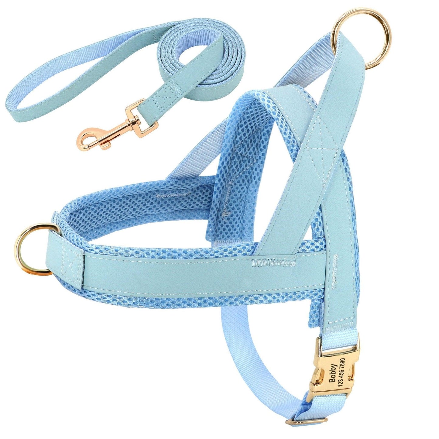 Coastal Harness + Leash Set