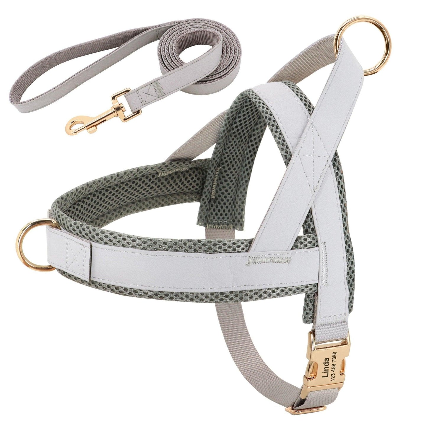 Coastal Harness + Leash Set