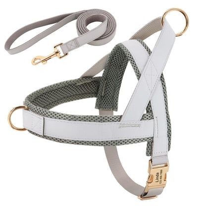 Coastal Harness + Leash Set