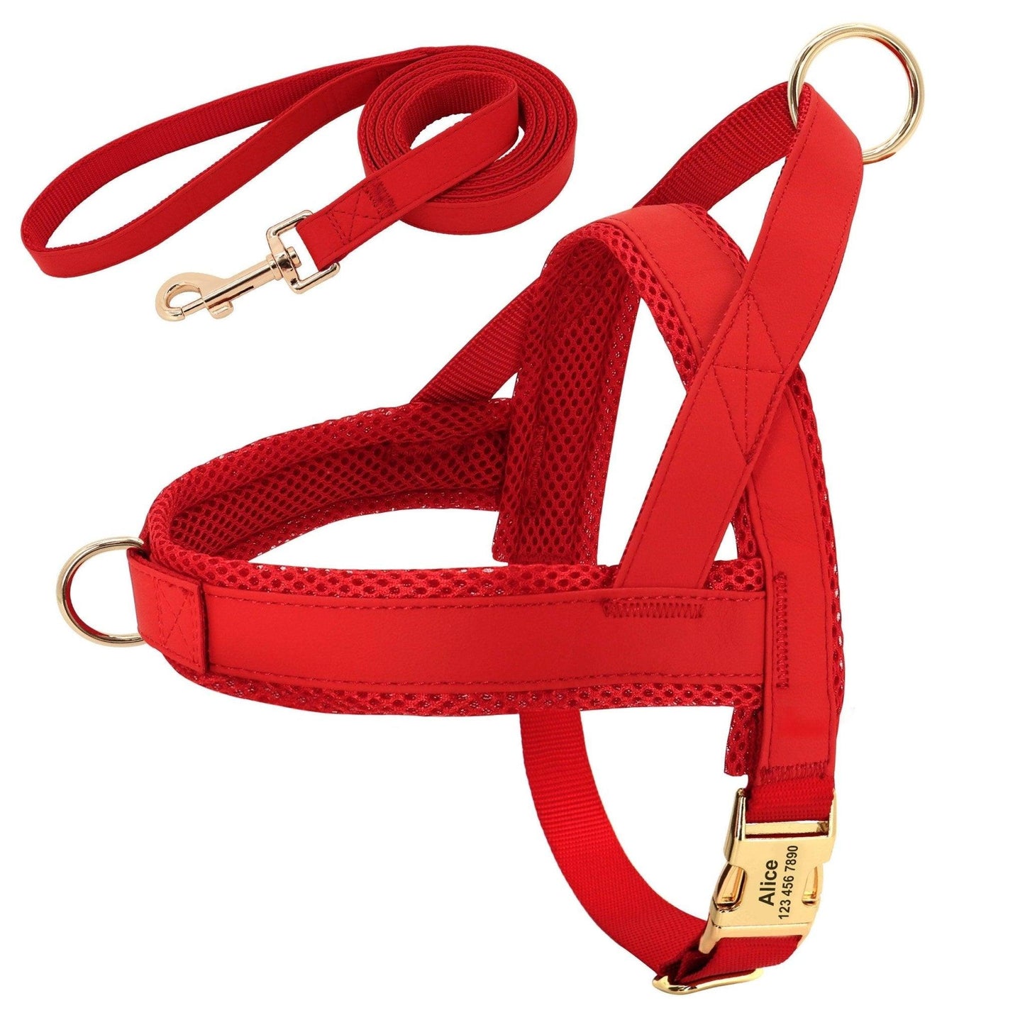 Coastal Harness + Leash Set